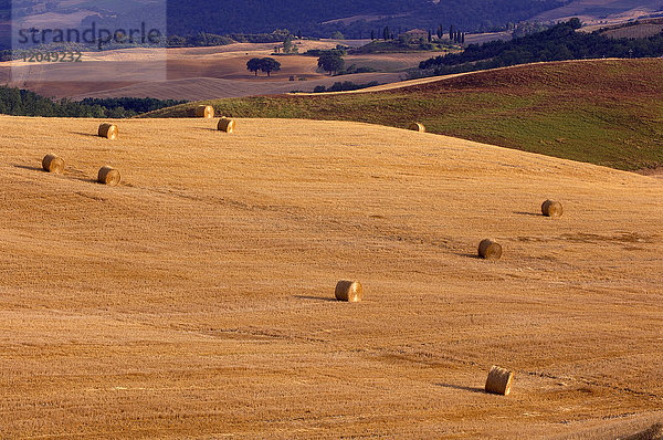 Überblick über Heuballen auf einem goldenen Getreidefeld in der Toskana  Italien