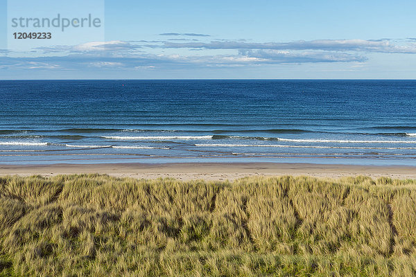 Grasbewachsene Sanddünen und Strand an der Küste von Seahouses an der Nordsee in Northumberland  England  Vereinigtes Königreich