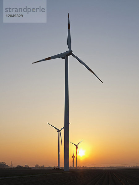 Windturbinen bei Sonnenuntergang  Nordrhein-Westfalen  Deutschland