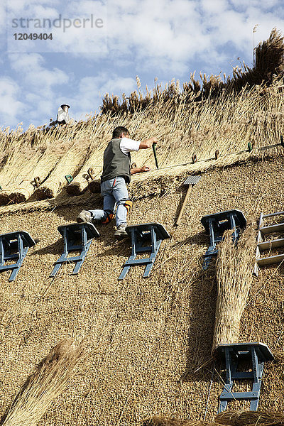 Dachdecker auf dem Dach  Sylt  Deutschland