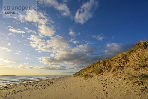 Fußabdrücke im Sand entlang des Strandes mit der Nordsee in Bamburgh in Northumberland  England  Vereinigtes Königreich