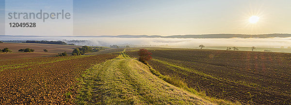 Landschaft mit Weg und Morgennebel über den Feldern bei Sonnenaufgang in der Gemeinde Großheubach in Bayern  Deutschland