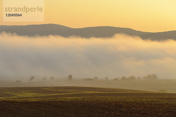 Landschaft mit Morgennebel über von der Sonne beleuchteten Feldern bei Großheubach in Bayern  Deutschland