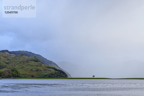 Neblige Wolken und ein einsamer Baum an der schottischen Küste in der Nähe von Eilean Donan Castle und Kyle of Lochalsh in Schottland  Vereinigtes Königreich