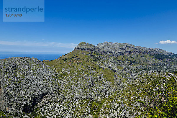 Berg bei Lluc  Mallorca  Balearische Inseln  Spanien