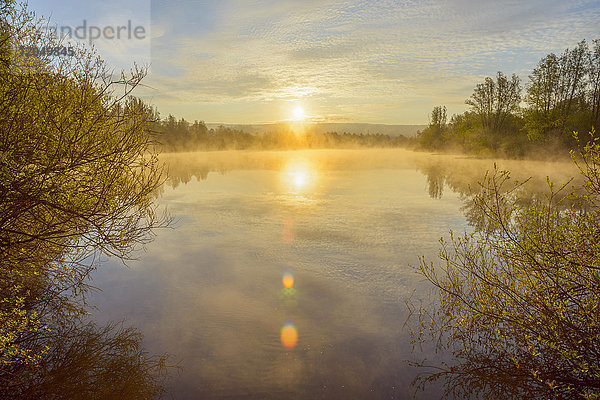 Helle Sonne spiegelt sich im See mit Morgennebel bei Sonnenaufgang in Mondfeld  Wertheim in Baden-Württemberg  Deutschland