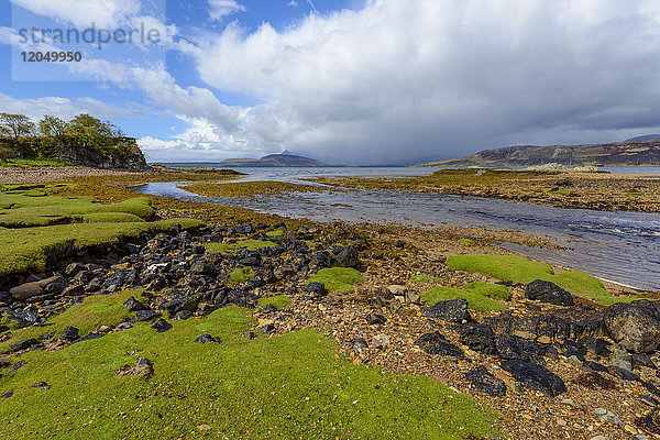 Moosbewachsenes felsiges Ufer eines Flusses  der in die Meeresbucht auf der Isle of Skye in Schottland  Vereinigtes Königreich  mündet
