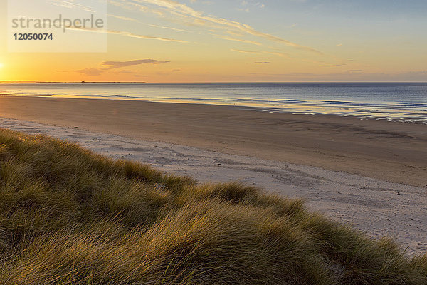 Die Sonne spiegelt sich auf dem Dünengras am Strand bei Sonnenaufgang in Bamburght über der Nordsee in Northumberland  England  Vereinigtes Königreich