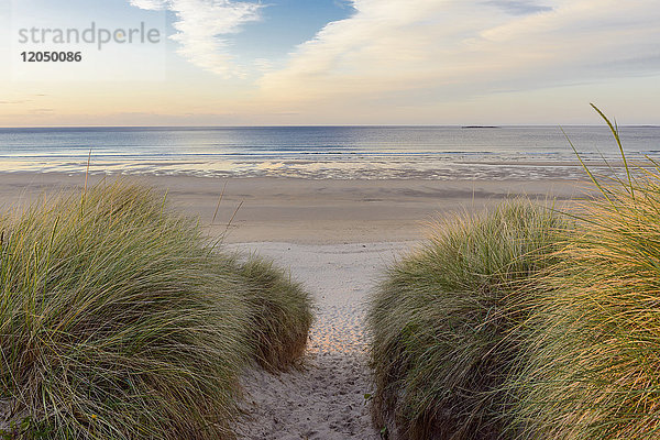 Pfad durch Sanddünen zur Nordsee bei Sonnenaufgang in Bamburgh in Northumberland  England  Vereinigtes Königreich