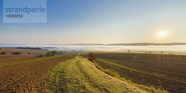 Landschaft mit Weg und Morgennebel über den Feldern bei Sonnenaufgang in der Gemeinde Großheubach in Bayern  Deutschland