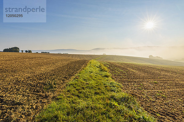 Grasbewachsener Weg durch gepflügte Felder bei Sonne und Morgennebel im Herbst am Schmachtenberg in Bayern  Deutschland