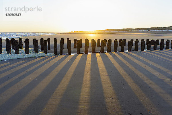 Hölzerner Wellenbrecher am Sandstrand bei Ebbe und Sonnenaufgang  Domburg  Nordsee  Zeeland  Niederlande
