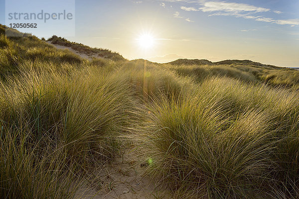 Die Sonne scheint über die grasbewachsenen Sanddünen im Dorf Seahouses an der Nordsee in Northumberland  England  Vereinigtes Königreich