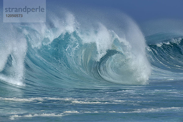 Große dramatische Welle an einem sonnigen Tag im Pazifischen Ozean in Oahu  Hawaii  USA
