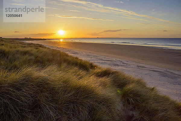 Die Sonne spiegelt sich auf dem Dünengras und dem Strand bei Sonnenaufgang über der Nordsee  Bamburgh in Northumberland  England  Vereinigtes Königreich