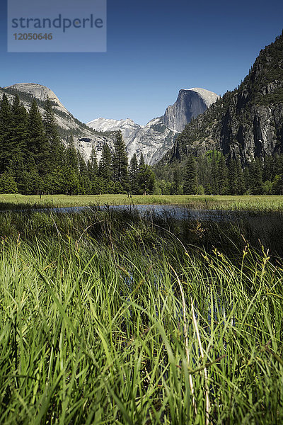 Half Dome im Yosemite-Nationalpark in Kalifornien  USA