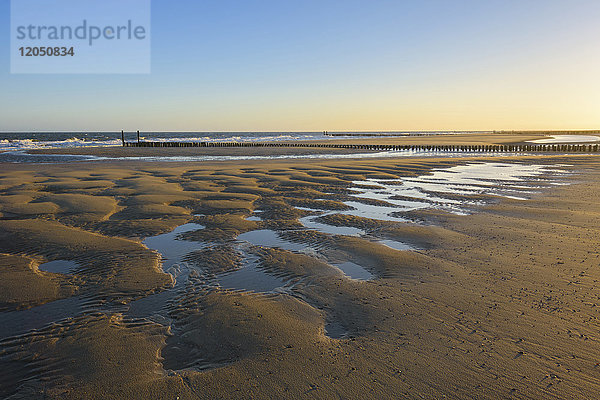 Hölzerner Wellenbrecher am Sandstrand bei Ebbe  Domburg  Nordsee  Zeeland  Niederlande