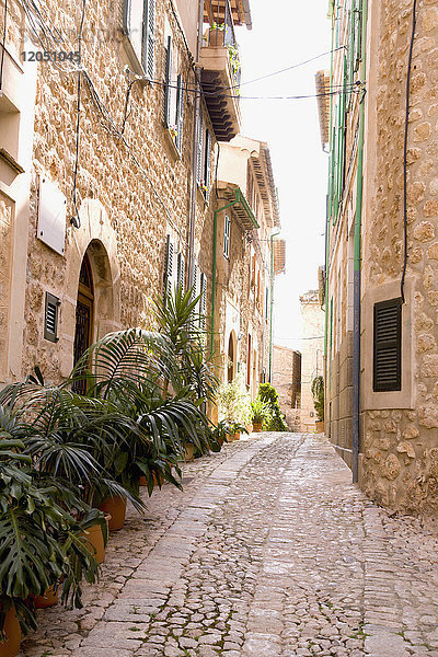 Straße mit Kopfsteinpflaster  Fornalutx  Mallorca  Spanien
