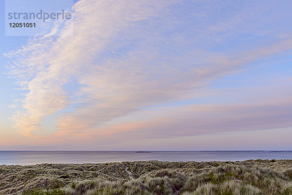 Pastellwolken über der Nordsee bei Sonnenaufgang mit Dünengras am Strand von Bamburgh in Northumberland  England  Vereinigtes Königreich