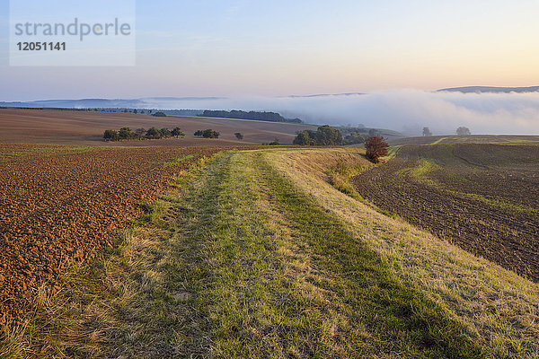 Landschaft mit Weg und Morgennebel über Feldern bei Großheubach in Bayern  Deutschland