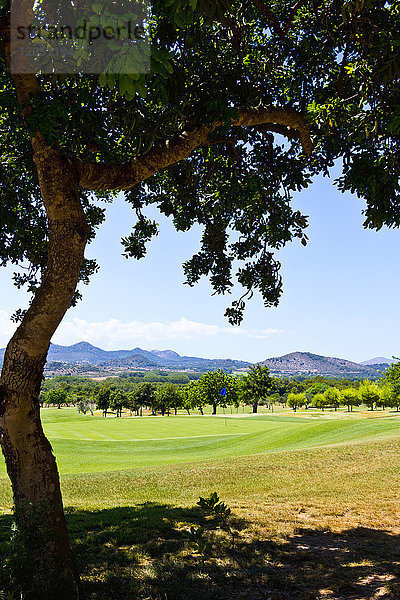 Golfplatz  Son Servera  Mallorca  Balearische Inseln