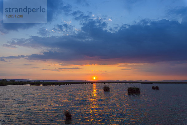 Sonne spiegelt sich im Wasser bei Sonnenuntergang am Neusiedlersee im Burgenland  Österreich