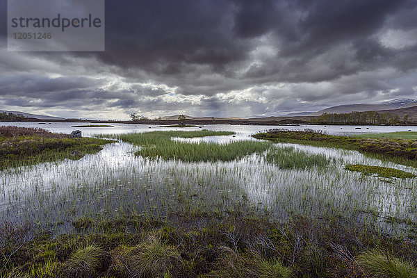 Moorlandschaft mit See und grasbewachsenen Flächen und dunklen Gewitterwolken im Rannoch Moor in Schottland  Vereinigtes Königreich