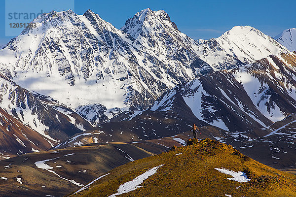 Schneebedeckte  namenlose Berge bilden die Kulisse hinter einem Rucksacktouristen  der das Hinterland des Denali-Nationalparks erkundet; Alaska  Vereinigte Staaten von Amerika