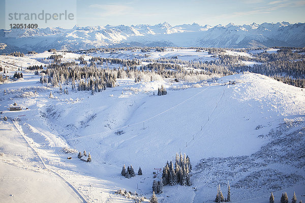 Luftaufnahme des Ohlson Mountain Rope Tow Ski Area  Homer  Süd-Zentral-Alaska  USA