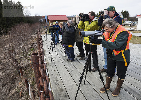 Vogelbeobachter und Fotografen auf dem Cordova Shorebird Festival  Süd-Zentral-Alaska  USA