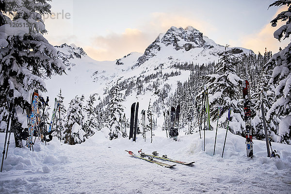 Ein Paar Skier und Stöcke im Schnee im Hinterland im Winter; British Columbia  Kanada