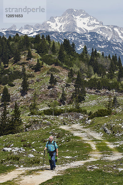 Ein älterer Mann wandert auf einem Pfad mit den Kamnik-savinja Alpen in der Ferne; Slowenien