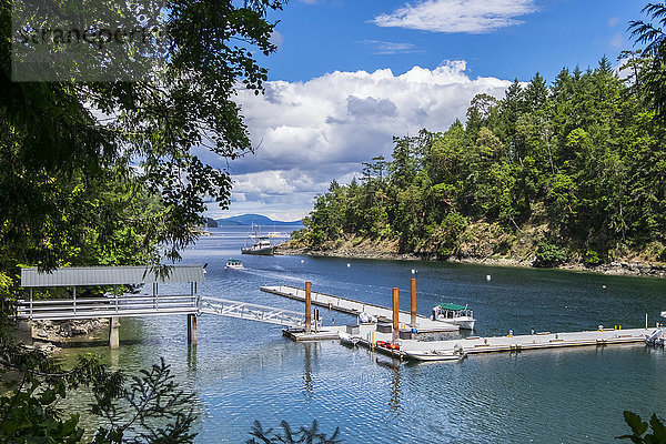 Bootstouren in und aus der Butchart Cove  Vancouver Island; Victoria  British Columbia  Kanada