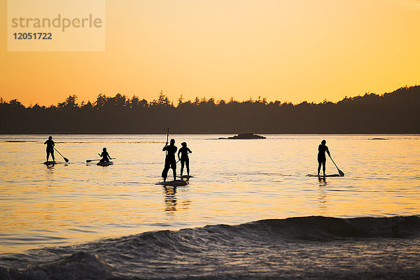 Fünf Frauen beim Stand Up Paddle Boarding auf dem Meer in der Nähe von Tofino  am Mackenzie Beach bei Sonnenuntergang  Vancouver Island; Tofino  British Columbia  Kanada