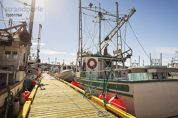 Fischerboote in einem Hafen entlang eines hölzernen Stegs an der Atlantikküste; Neufundland  Kanada