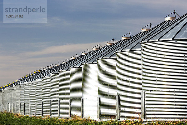 Nahaufnahme einer langen Reihe glänzender Getreidesilos aus Metall  die das Sonnenlicht mit blauem Himmel und Wolken reflektieren; Beiseker  Alberta  Kanada