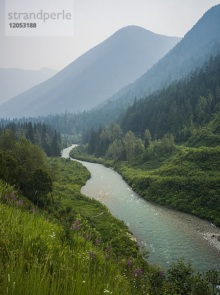 Der Columbia River fließt durch die Selkirk Mountains mit Wäldern und Wildblumen an den Hängen; Revelstoke  British Columbia  Kanada