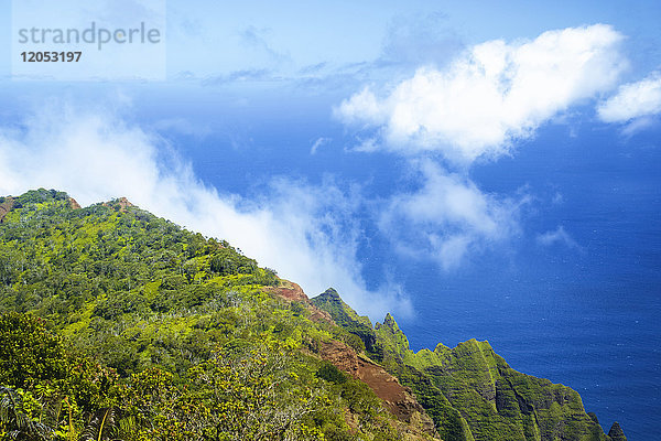 Schroffe Berggipfel in einer mit dichtem  üppigem Laub bedeckten Landschaft; Hanalei  Kauai  Hawaii  Vereinigte Staaten von Amerika