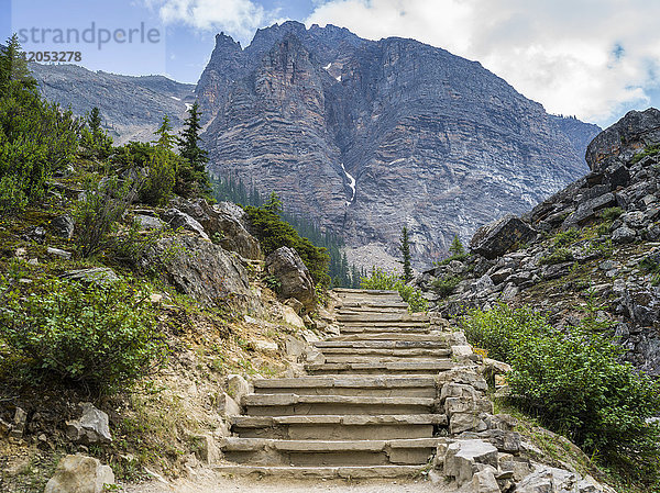 Stufen  die auf einem Bergpfad im Banff National Park zu einem schroffen Berg hinaufführen; Alberta  Kanada