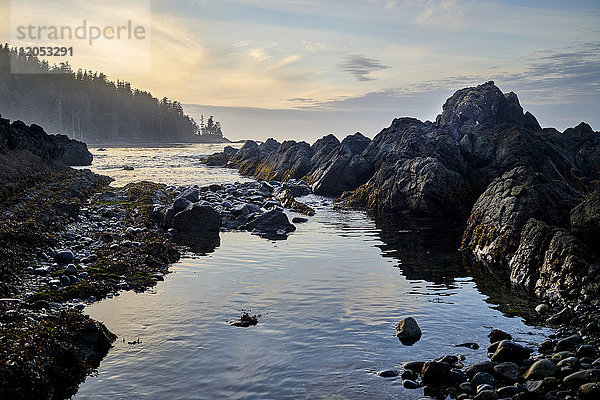 Zerklüftete Felsformationen entlang der Küstenlinie bei Sonnenuntergang  Cape Scott Provincial Park  Vancouver Island; British Columbia  Kanada