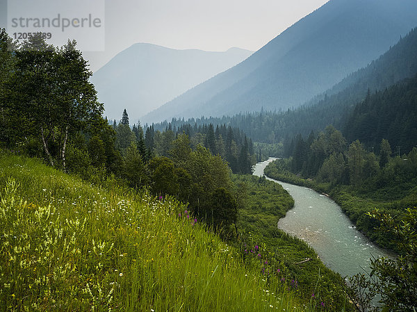 Der Columbia River fließt durch die Selkirk Mountains mit Wäldern und Wildblumen an den Hängen; Revelstoke  British Columbia  Kanada