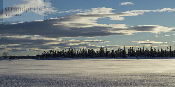 Schneebedecktes Feld mit der Silhouette eines Waldes in der Ferne; Arjeplog  Provinz Norrbotten  Schweden