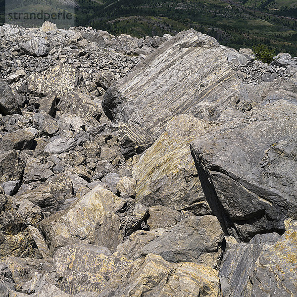 Große Felsbrocken vom Frank Slide im Crowsnest Pass  einem gewaltigen Felssturz vom Turtle Mountain im Jahr 1903  der die Stadt Frank unter sich begrub; Frank  Alberta  Kanada