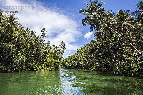 Loboc-Fluss; Bohol  Zentral-Visayas  Philippinen