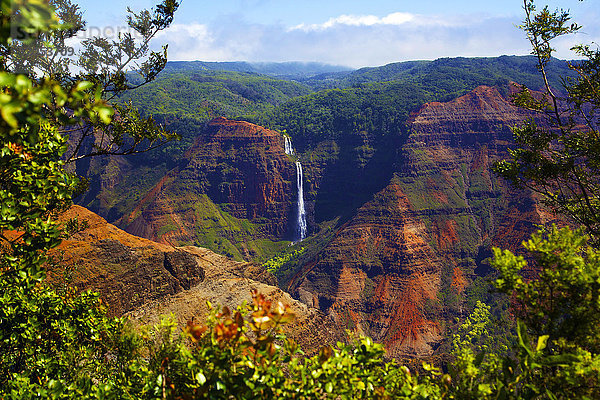 Waimea Canyon Falls und üppiges Laub auf zerklüfteten Klippen und Bergen; Waimea  Kauai  Hawaii  Vereinigte Staaten von Amerika