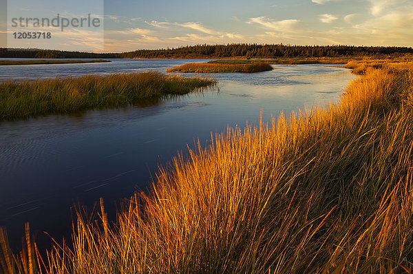 Sonnenuntergang beleuchtet die Salzwiesengräser am Crooked Lake  Morrisons Beach; Framboise  Cape Breton Island  Nova Scotia  Kanada