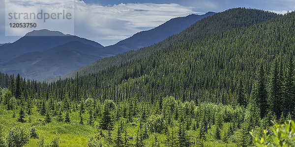 Dichter Wald bedeckt die Ausläufer und Berge mit den schroffen kanadischen Rocky Mountains  die sich in der Ferne unter einem bewölkten Himmel abzeichnen; Longview  Alberta  Kanada