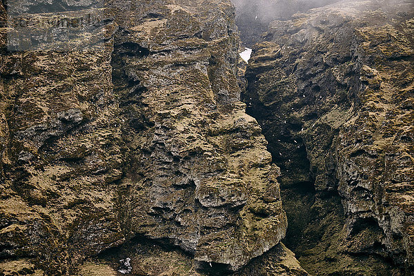 Zerklüftete Klippen mit Papageientauchern  Halbinsel Snaefellsnes; Island