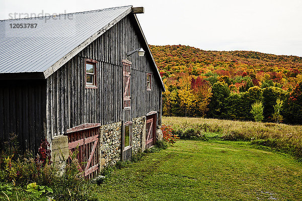 Scheune mit herbstlich gefärbtem Wald; Dunham  Quebec  Kanada