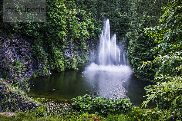 Ross-Brunnen in den Butchart-Gärten; Victoria  British Columbia  Kanada